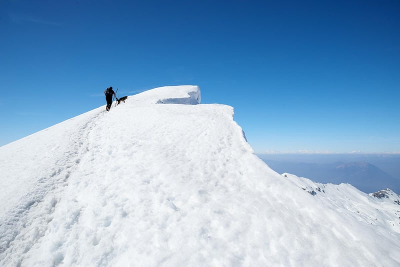 Mountain Climbs